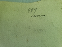 4353.jpg